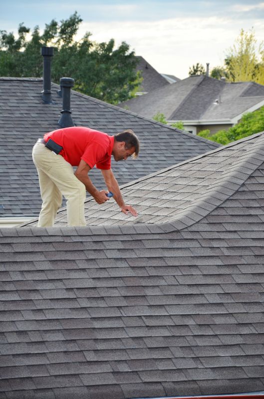 Specialized Roofing Services